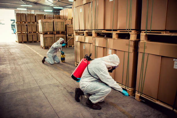 Best Termite Control Services  in Edgewood, TX