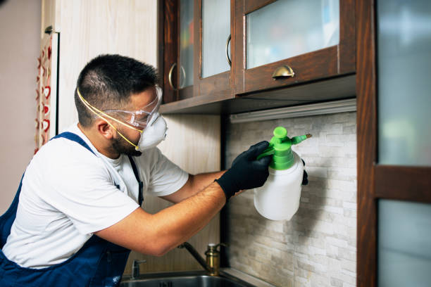 Reliable Edgewood, TX Pest Control Solutions