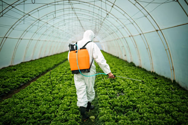Best Residential Pest Control  in Edgewood, TX
