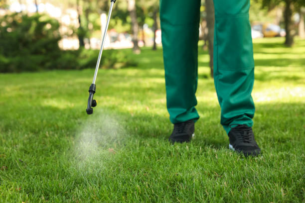 Best Rat Extermination Near Me  in Edgewood, TX