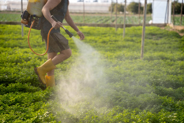 Best Mosquito Control Services  in Edgewood, TX