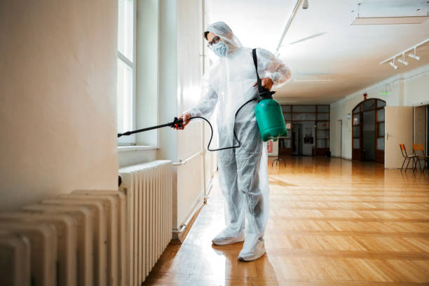 Best Rat Extermination Near Me  in Edgewood, TX
