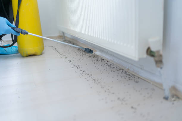 Best Wildlife Control Services  in Edgewood, TX
