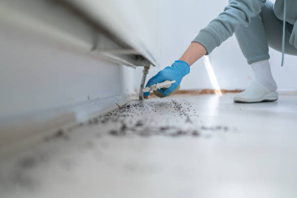 Best Affordable Pest Control Services  in Edgewood, TX